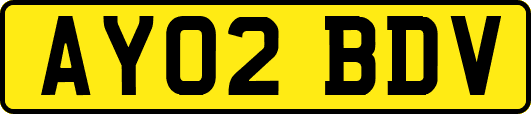 AY02BDV