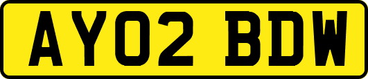 AY02BDW