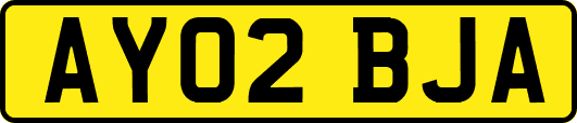 AY02BJA