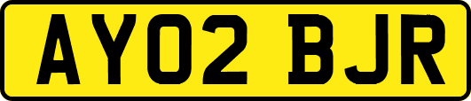 AY02BJR