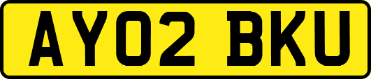 AY02BKU