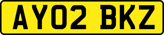 AY02BKZ