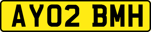 AY02BMH