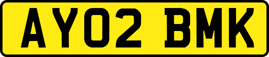 AY02BMK