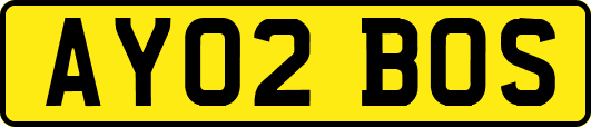 AY02BOS