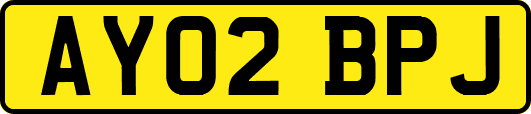 AY02BPJ