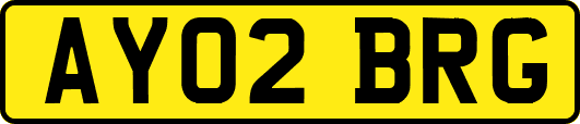 AY02BRG