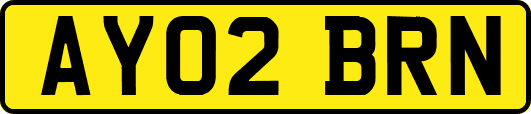 AY02BRN