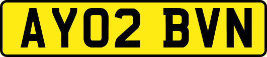AY02BVN