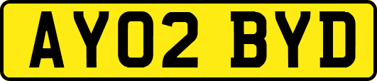 AY02BYD