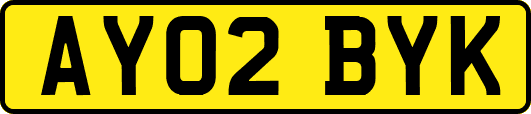 AY02BYK