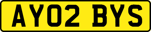 AY02BYS