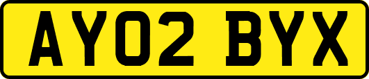 AY02BYX