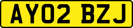 AY02BZJ