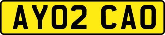 AY02CAO