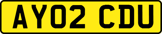 AY02CDU