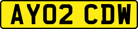 AY02CDW