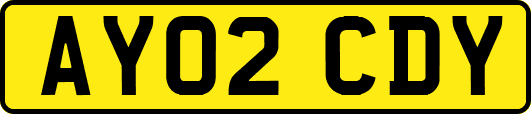 AY02CDY