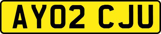 AY02CJU
