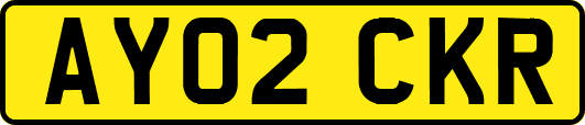 AY02CKR