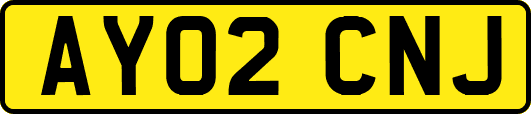 AY02CNJ