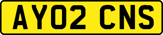 AY02CNS