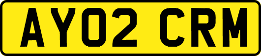 AY02CRM