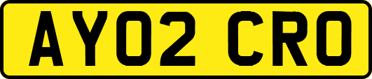 AY02CRO