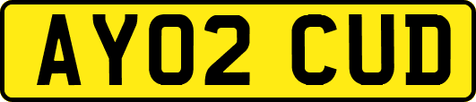 AY02CUD