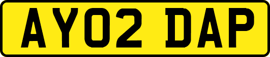 AY02DAP