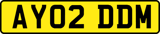 AY02DDM