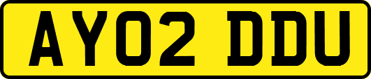 AY02DDU