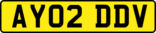 AY02DDV