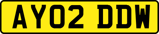 AY02DDW