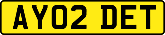 AY02DET