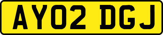 AY02DGJ