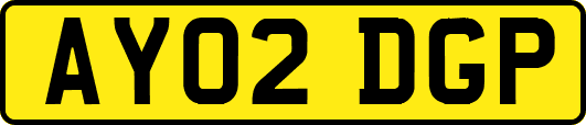 AY02DGP