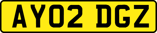 AY02DGZ