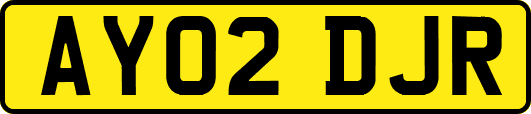 AY02DJR