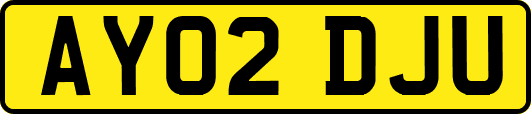 AY02DJU