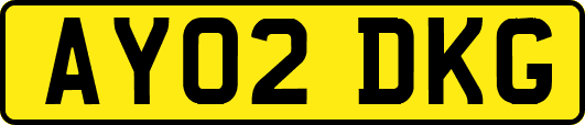 AY02DKG