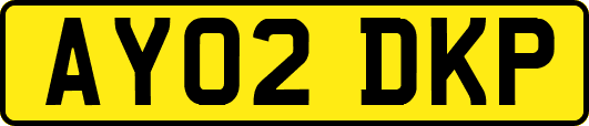 AY02DKP