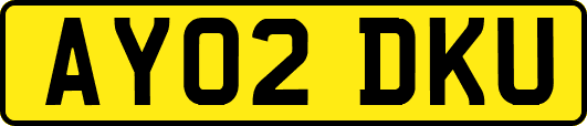 AY02DKU