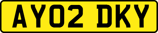AY02DKY