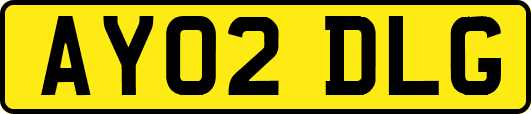 AY02DLG