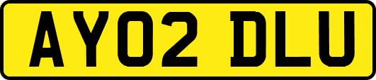 AY02DLU