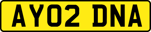 AY02DNA
