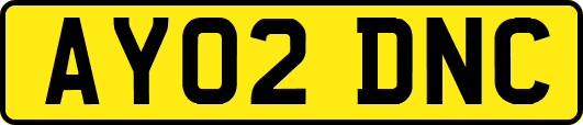 AY02DNC