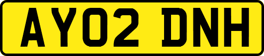 AY02DNH