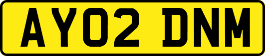 AY02DNM
